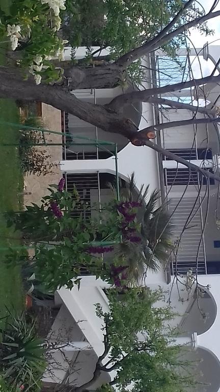 Apartments Pavlovic Ninski Stanovi Bagian luar foto